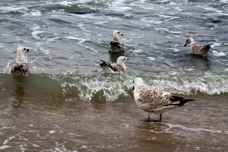 Европейская прелюдия осени в обнимку с фотоаппаратом!