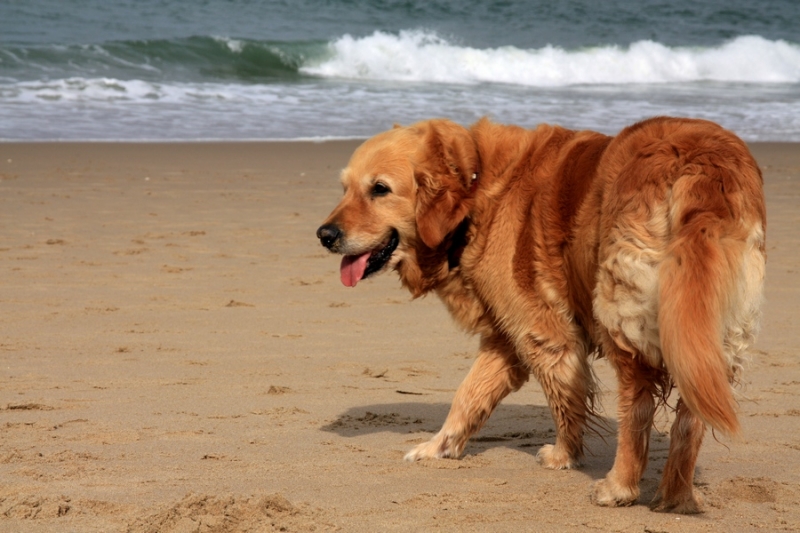 Европейская прелюдия осени в обнимку с фотоаппаратом!