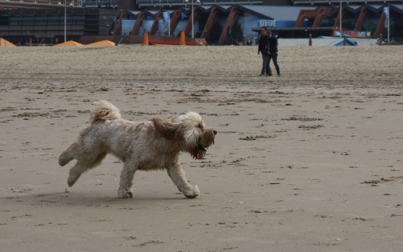 Европейская прелюдия осени в обнимку с фотоаппаратом!