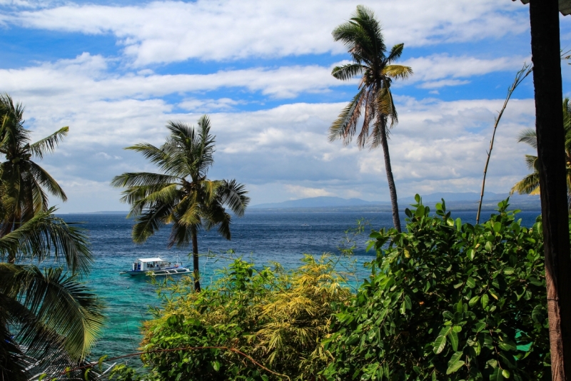 Филиппины: январь - февраль 2014 (Бусуанга - Эль Нидо - остров Апо)