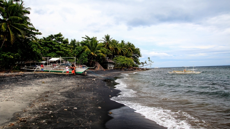 Филиппины: январь - февраль 2014 (Бусуанга - Эль Нидо - остров Апо)