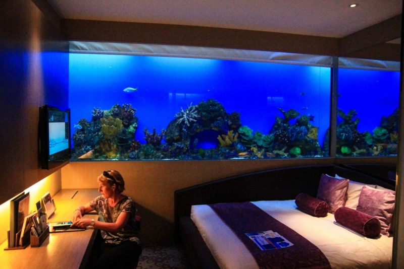 Филиппины: январь - февраль 2014 (Бусуанга - Эль Нидо - остров Апо)