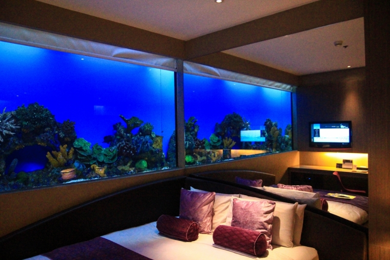 Филиппины: январь - февраль 2014 (Бусуанга - Эль Нидо - остров Апо)