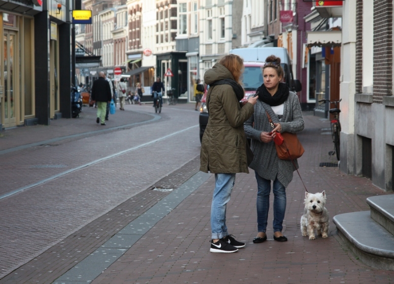 Красивые, симпатичные и живописные девушки планеты Земля. ( фототраффик )