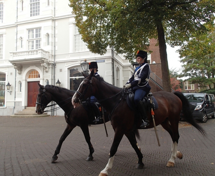 Красивые, симпатичные и живописные девушки планеты Земля. ( фототраффик )