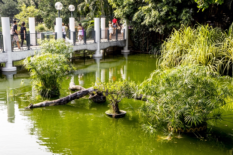 Пекин-Гуанчжоу-Гонконг октябрь 2014