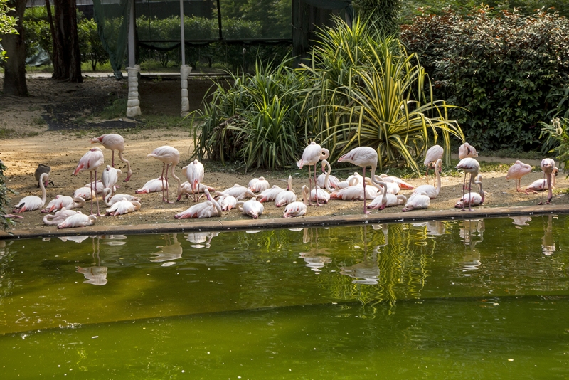 Пекин-Гуанчжоу-Гонконг октябрь 2014