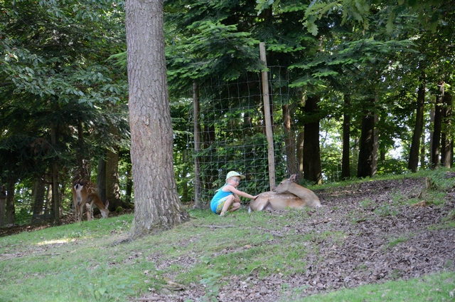 "Детская" Германия