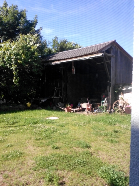 "Детская" Германия