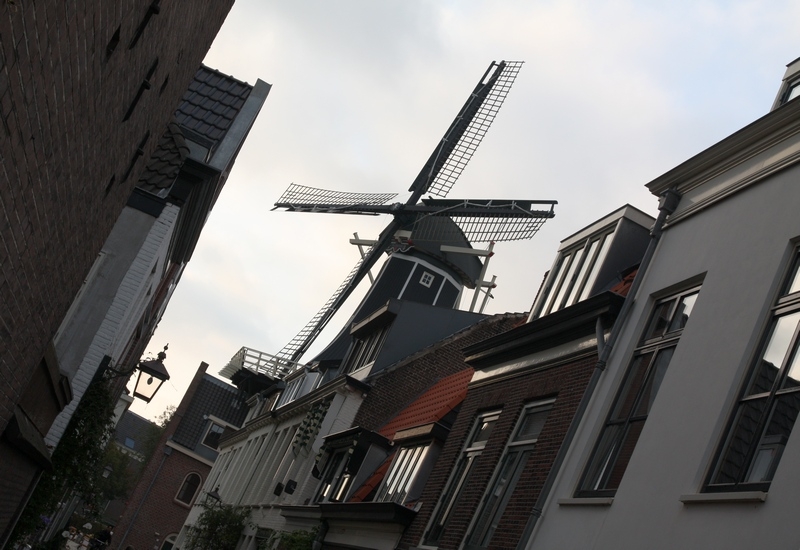 Европейская прелюдия осени в обнимку с фотоаппаратом!