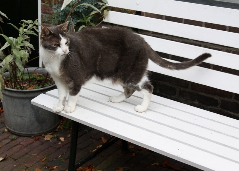 Европейская прелюдия осени в обнимку с фотоаппаратом!