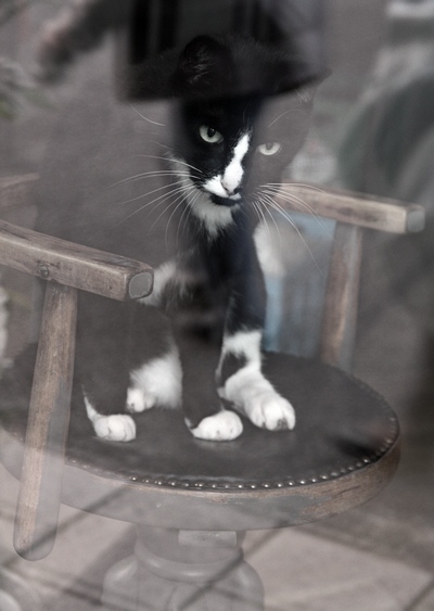 Европейская прелюдия осени в обнимку с фотоаппаратом!