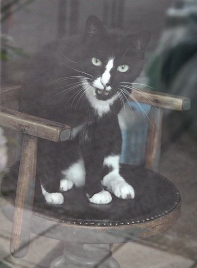 Европейская прелюдия осени в обнимку с фотоаппаратом!