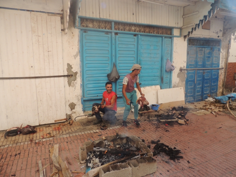 Ужасы, кошмары, гадости, приколы и нелепости, и разная абракадабра из путешествий.