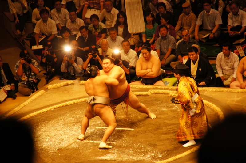sumo1