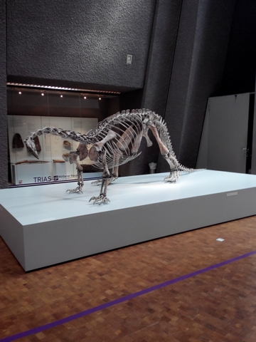 "Детская" Германия