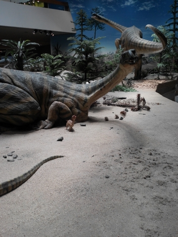 "Детская" Германия