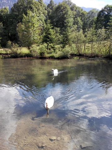 "Детская" Германия