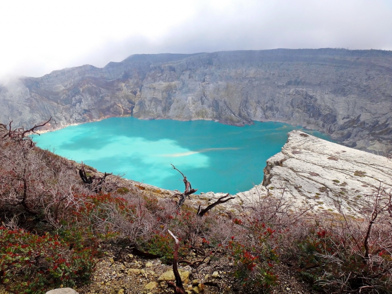 Папуа (племена короваев + Raja Ampat), на авто восточная и центральная Ява (фото).