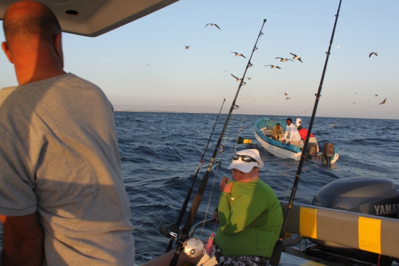 Юсуф Аль Магруки, лучший морской волк в Салале.