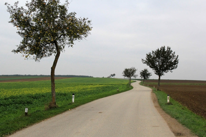 Австрия с востока на запад и обратно, с дождем и термами в октябре 2014