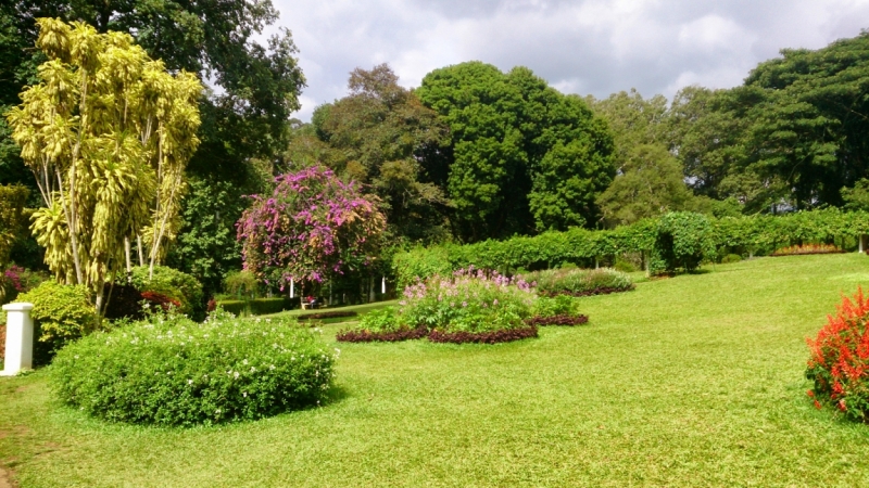 королевский бот сад Перадения