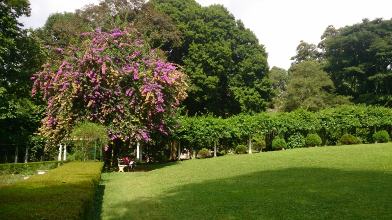 королевский бот сад Перадения