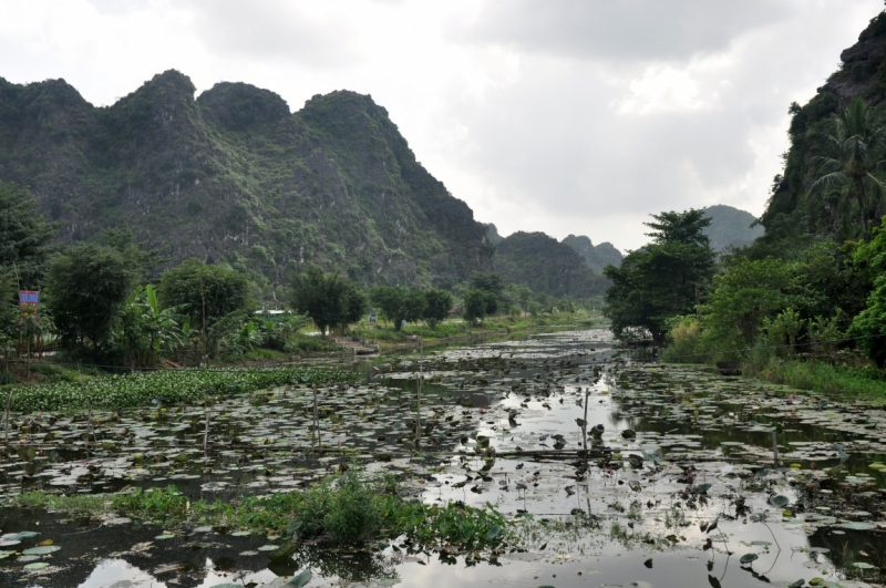 Вьетнам. Ханой, Нинь Бинь, Халонг на ноябрьские праздники 2014(много фото).