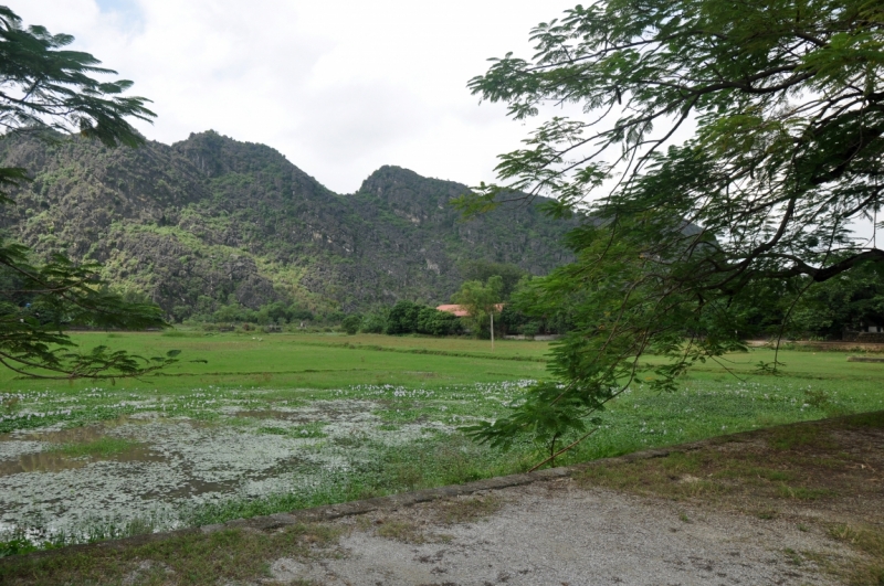 Вьетнам. Ханой, Нинь Бинь, Халонг на ноябрьские праздники 2014(много фото).