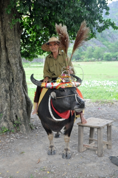 Вьетнам. Ханой, Нинь Бинь, Халонг на ноябрьские праздники 2014(много фото).