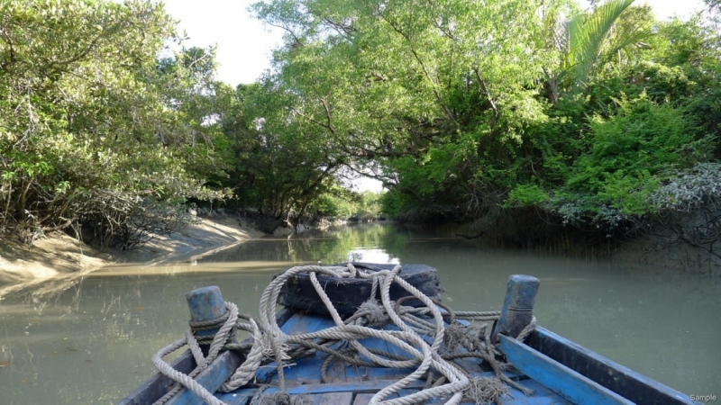 Клеенка из Бангладеш или кристально чистый Бангладеш (Сентябрь 2014 года)