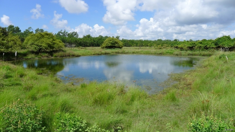 Клеенка из Бангладеш или кристально чистый Бангладеш (Сентябрь 2014 года)