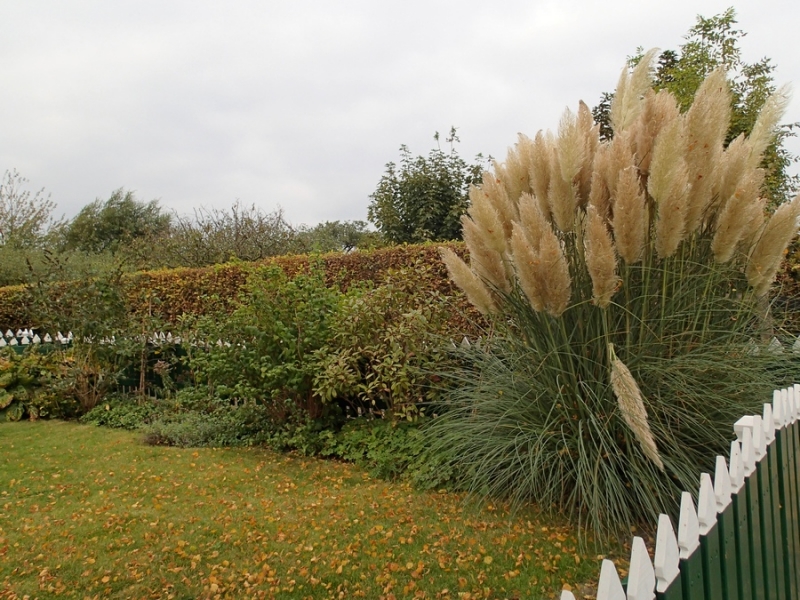 Европейская прелюдия осени в обнимку с фотоаппаратом!
