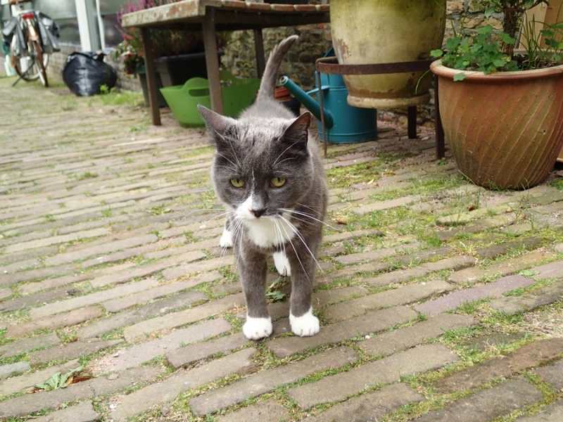 Европейская прелюдия осени в обнимку с фотоаппаратом!