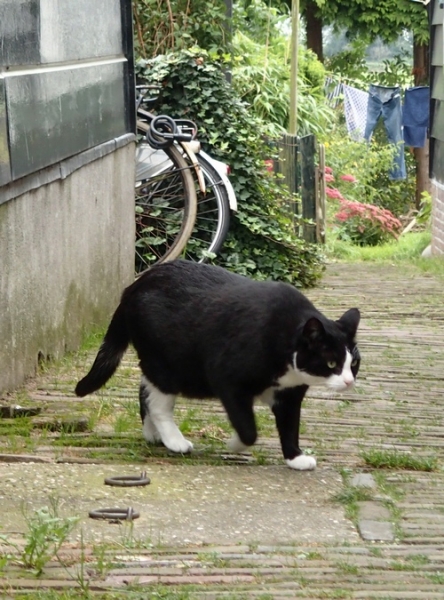 Европейская прелюдия осени в обнимку с фотоаппаратом!