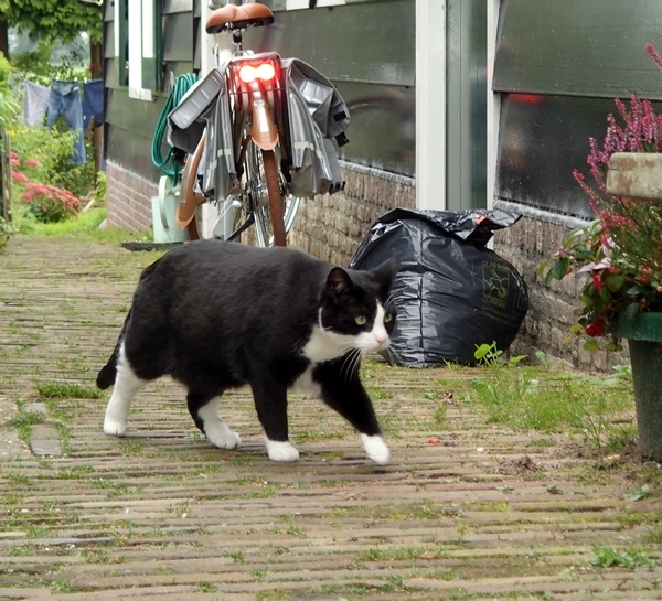Европейская прелюдия осени в обнимку с фотоаппаратом!