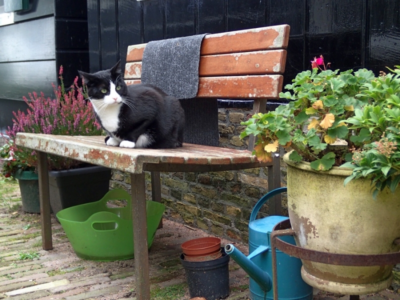 Европейская прелюдия осени в обнимку с фотоаппаратом!