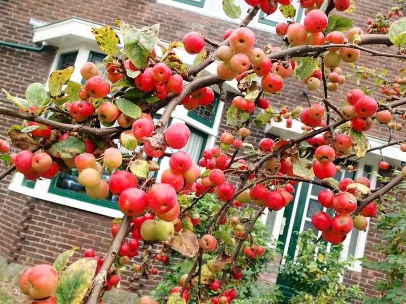 Европейская прелюдия осени в обнимку с фотоаппаратом!