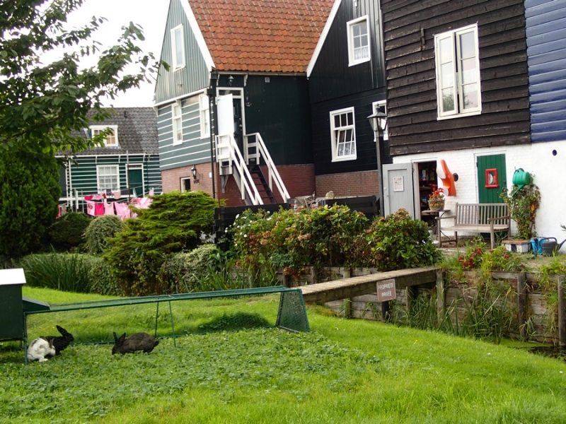 Европейская прелюдия осени в обнимку с фотоаппаратом!