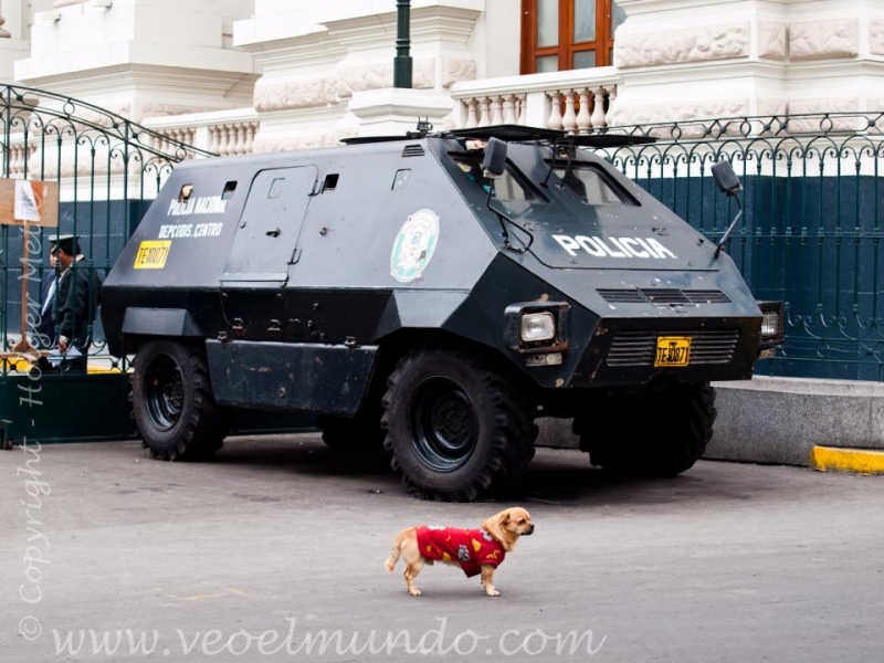 Юг Перу + Амазонка (апрель 2013, много фото)