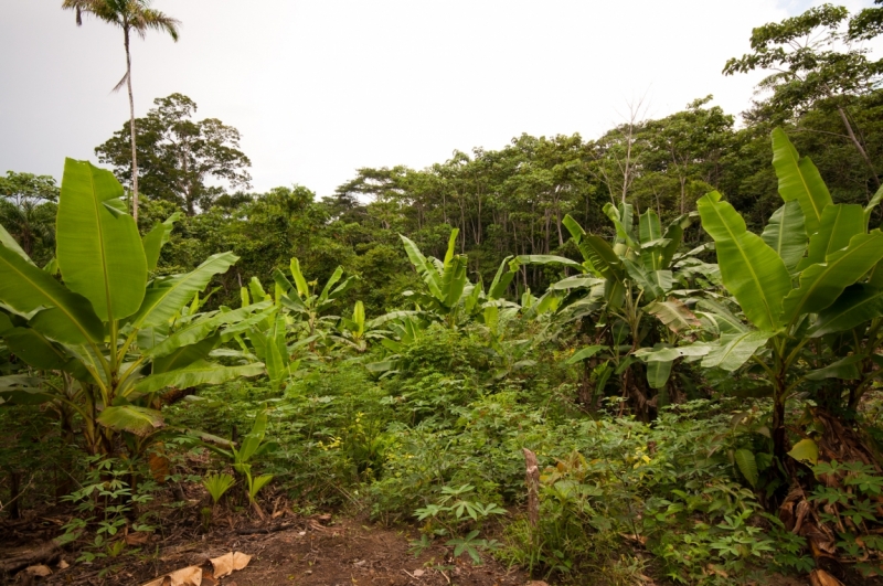 Юг Перу + Амазонка (апрель 2013, много фото)