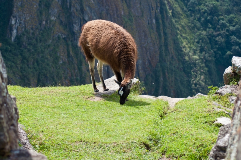 Юг Перу + Амазонка (апрель 2013, много фото)