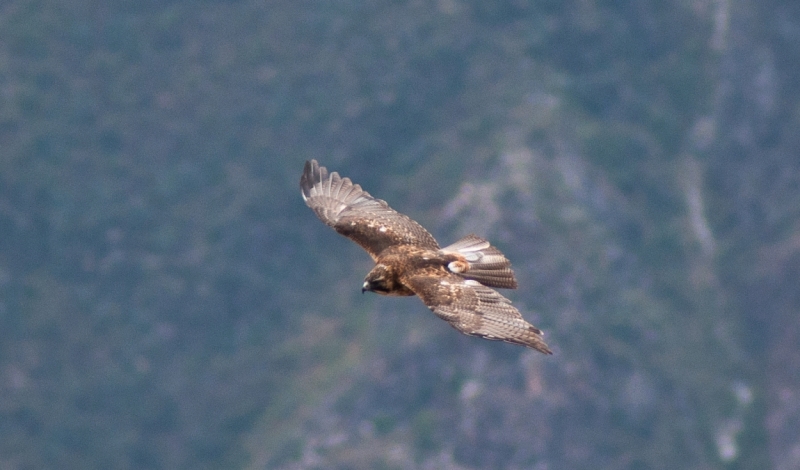 Юг Перу + Амазонка (апрель 2013, много фото)