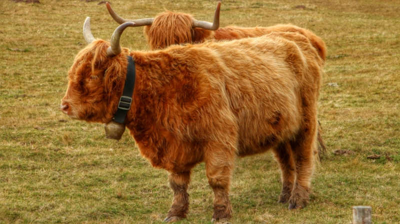 Италия в октябре. От Альп до Рима на авто))