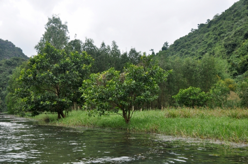 Вьетнам. Ханой, Нинь Бинь, Халонг на ноябрьские праздники 2014(много фото).
