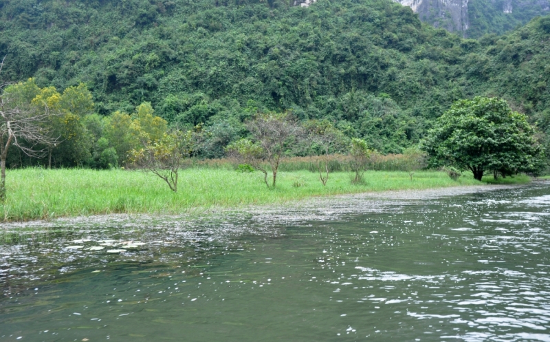 Вьетнам. Ханой, Нинь Бинь, Халонг на ноябрьские праздники 2014(много фото).