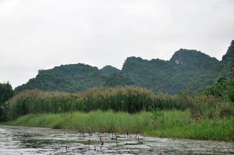 Вьетнам. Ханой, Нинь Бинь, Халонг на ноябрьские праздники 2014(много фото).