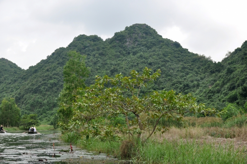 Вьетнам. Ханой, Нинь Бинь, Халонг на ноябрьские праздники 2014(много фото).
