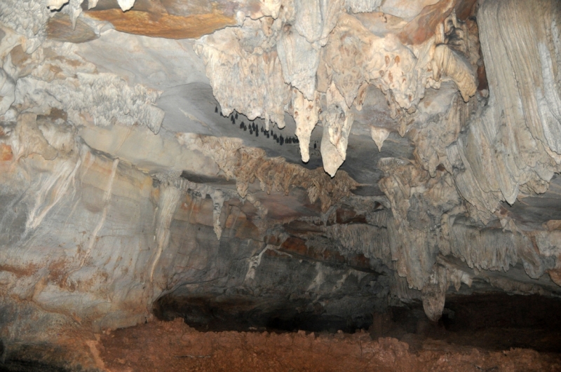 Вьетнам. Ханой, Нинь Бинь, Халонг на ноябрьские праздники 2014(много фото).