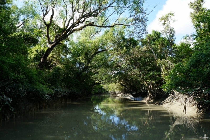 Клеенка из Бангладеш или кристально чистый Бангладеш (Сентябрь 2014 года)